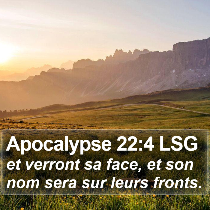 Apocalypse 22:4 LSG Bible Study