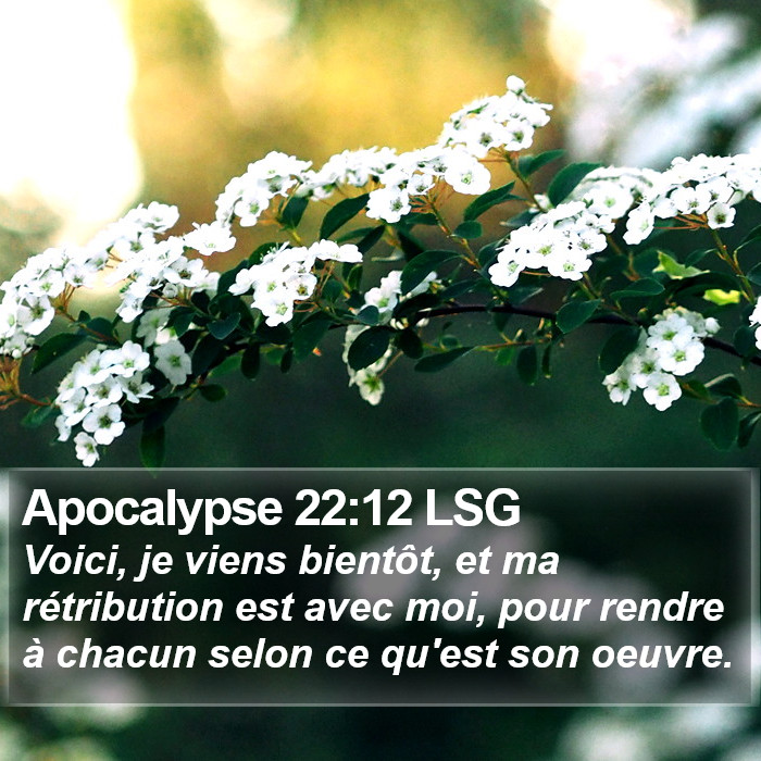 Apocalypse 22:12 LSG Bible Study